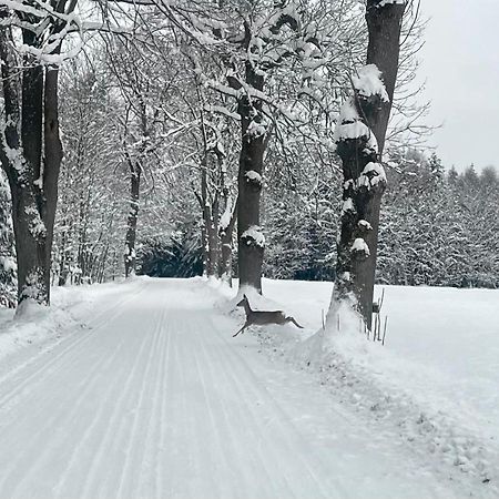 Апартаменты Garsonka V Srdci Vysociny Ждяр-над-Сазавоу Экстерьер фото